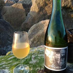 Domaine de l'Alezan - Remi & Patricia Bonneton - Merci (blanc)
