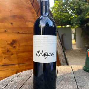 Merci - Domaine de Malaïgue - Francois Reboul 