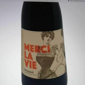 Domaine de l'Oubliée - Xavier Courant - Merci La Vie