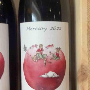 Mercury - Domaine des Petites Planètes - guillaume-bodin -2022