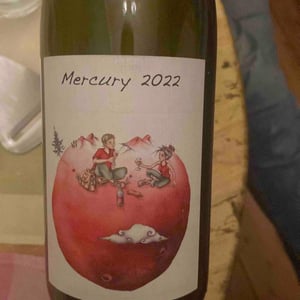 Mercury - Domaine des Petites Planètes - guillaume-bodin -2022