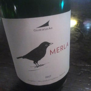 Merla - El Celler de les Aus - Josep Maria & Mireia Pujol-Busquets 