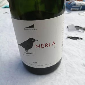 Merla - El Celler de les Aus - Josep Maria & Mireia Pujol-Busquets 