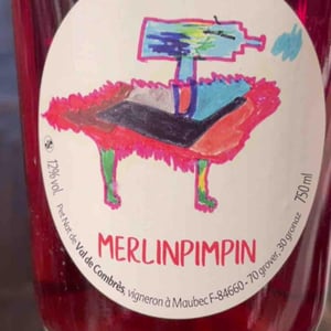 Merlinpimpin - Val de Combrès - Valentin L. -2023