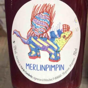 Merlinpimpin - Val de Combrès - valentin-l -2023