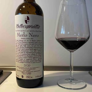 Merlo Nero - Collecapretta - Anna & Vittorio Mattioli 