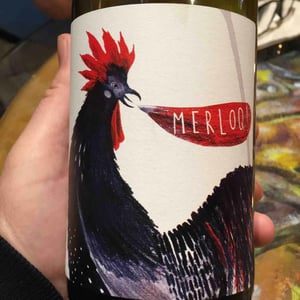 Merloq - Il Ceo - davide-andreatta