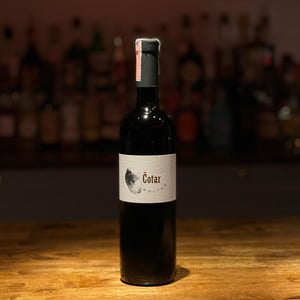 Merlot - Čotar - branko-vasja-cotar