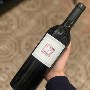 Merlot - Domaine Saint Julien - Le Zaparel - stephanie-minder-paco-aeschlimann