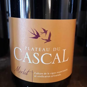 Merlot - Plateau Du Cascal - sofi-bataillard-et-julien-veyret