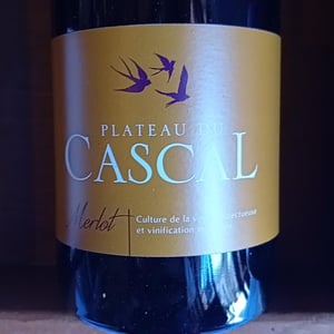 Merlot - Plateau Du Cascal - sofi-bataillard-et-julien-veyret