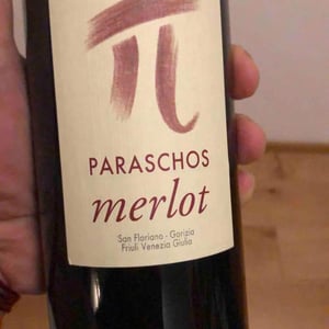 Merlot - Paraschos - evangelos-alexis-jannis-paraschos