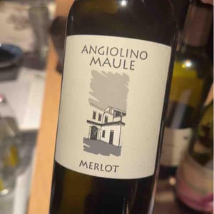 Merlot - Azienda Agricola La Biancara - Angiolino Maule 
