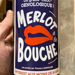 Merlot à la Bouche - Château Frédignac - ludivine-vincent-lamouller-7n