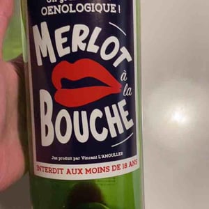 Merlot à la Bouche - Château Frédignac - Ludivine & Vincent L'Amouller 