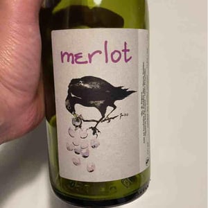 Merlot - Simon Busser - Simon Busser 