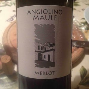 Merlot - Azienda Agricola La Biancara - Angiolino Maule 