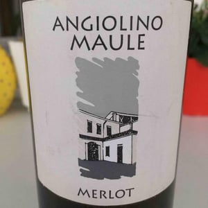 Merlot - Azienda Agricola La Biancara - Angiolino Maule 