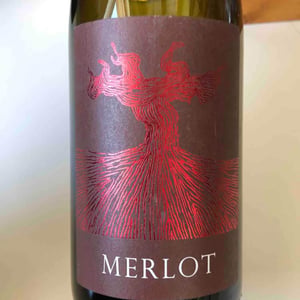 Merlot - Weingut Bianka und Daniel Schmitt - Daniel & Bianka Schmitt 
