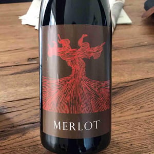Merlot - Weingut Bianka und Daniel Schmitt - Daniel & Bianka Schmitt 