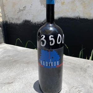 Merlot - Radikon - famiglia-radikon