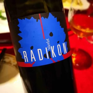 Radikon - Famiglia Radikon - Merlot
