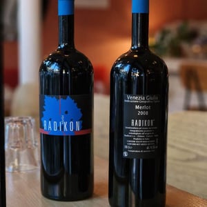 Merlot - Radikon - famiglia-radikon