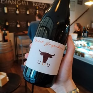 Merlot Gospodovo - Marinko Pintar - marinko-pintar -2019