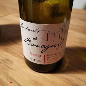 Merlot - Domaine de Bonaguil - barbora-et-daniel-donath