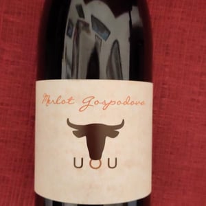 Merlot Gospodovo - Marinko Pintar - marinko-pintar -2019