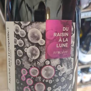Merlot Pas Tranquille ! - AntocyÂme - Muriel Zoldan 
