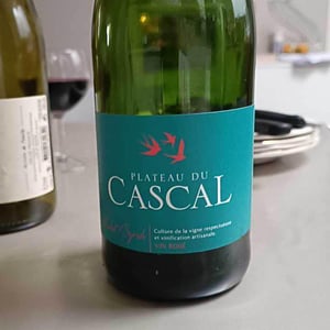 Merlot - Plateau Du Cascal - sofi-bataillard-et-julien-veyret