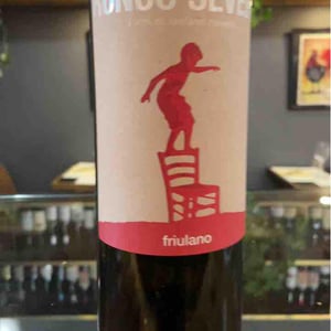 Merlot - Ronco Severo - Stefano Novello -2020