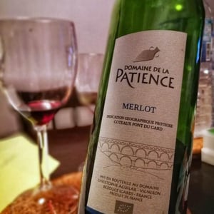 Merlot - Domaine de la Patience - Christophe Aguilar 