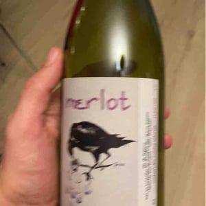 Merlot - Simon Busser - simon-busser