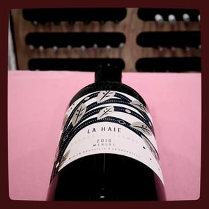 Merlot VDF - Chateau La Haie - francois-decombe -2016