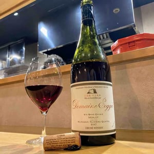 Merlot - Vin Sans Chimie - Domaine Sogga - Obusé Winery - Akihiko Soga 