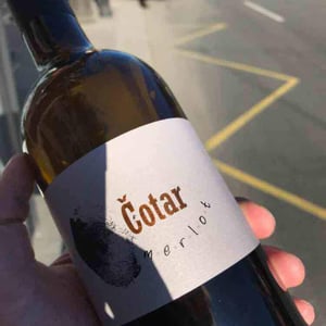 Merlot - Čotar - Branko & Vasja Čotar 