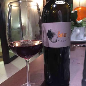 Merlot 2007