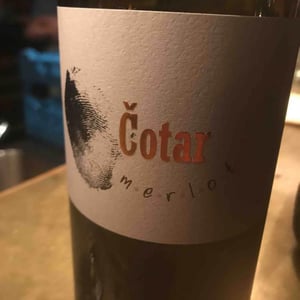 Merlot - Čotar - Branko & Vasja Čotar 