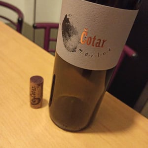 Merlot - Čotar - Branko & Vasja Čotar 