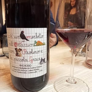 Merlotto - Cantina Ortaccio - massimo-antonuzi-patrizia-montanari -2021