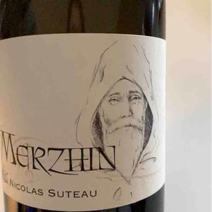 Merzhin - Nicolas Suteau - Nicolas Suteau 