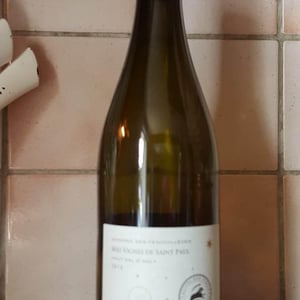 Mes Vignes De Saint Paul - Domaine Des Fenouillèdes - jean-louis-denois