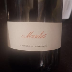 Marcel - Sas Mansengs Et Compagnie - jean-baptiste-semmartin -2021