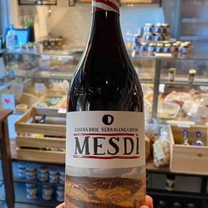 Mesdì - 460 Casina Bric - gianluca-viberti -2020