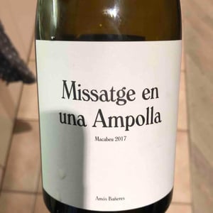 Vinya Oculta - Amós Bañeres - Missatge en una Ampolla