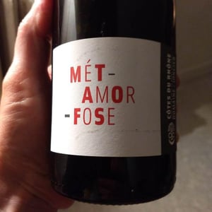 Métamorfose - Domaine du Joncier - Marine Roussel 