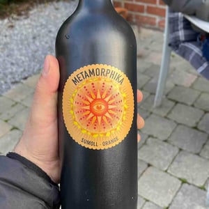 Metamorphika Sumoll - Costador Terroirs Mediterranis - Joan Franquet -2021