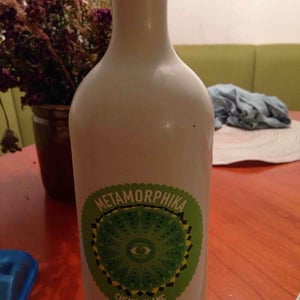 Costador Terroirs Mediterranis - Joan Franquet - Metamorphika Macabeu Brisat